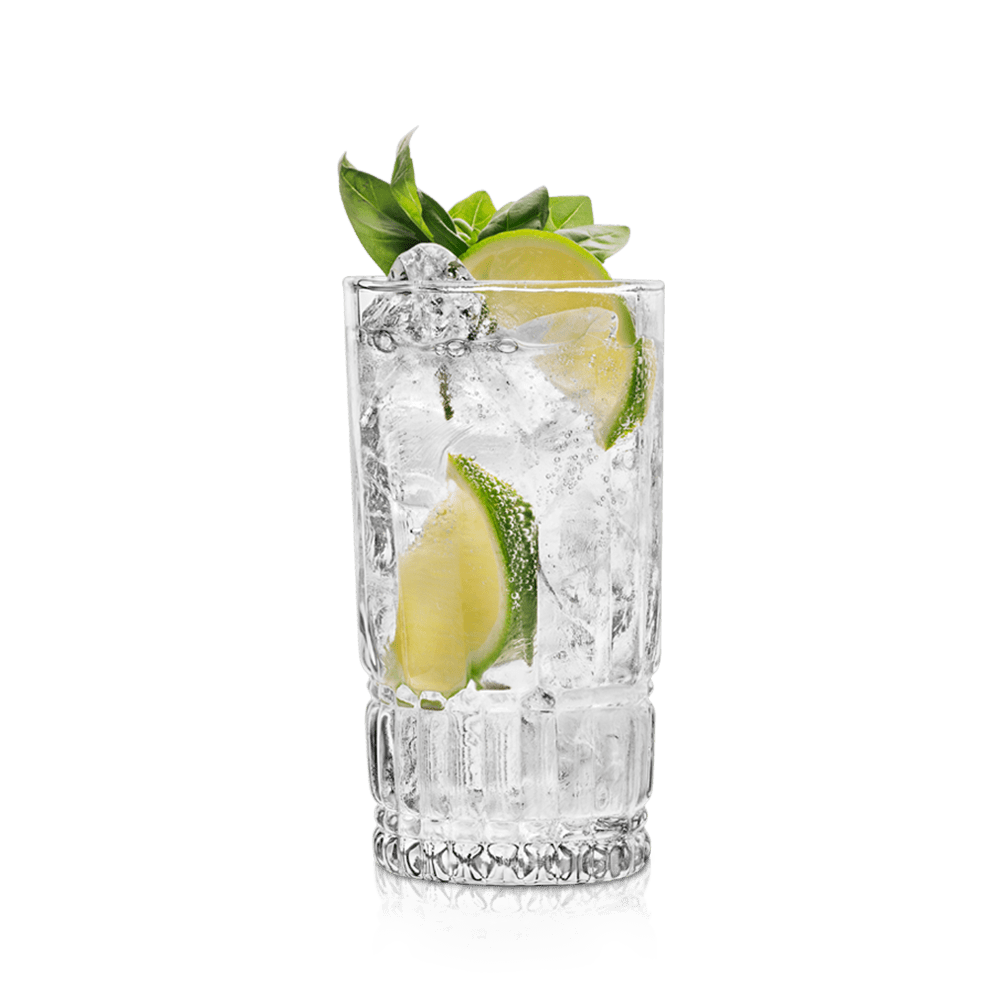 cocktail gin tonic vanzan